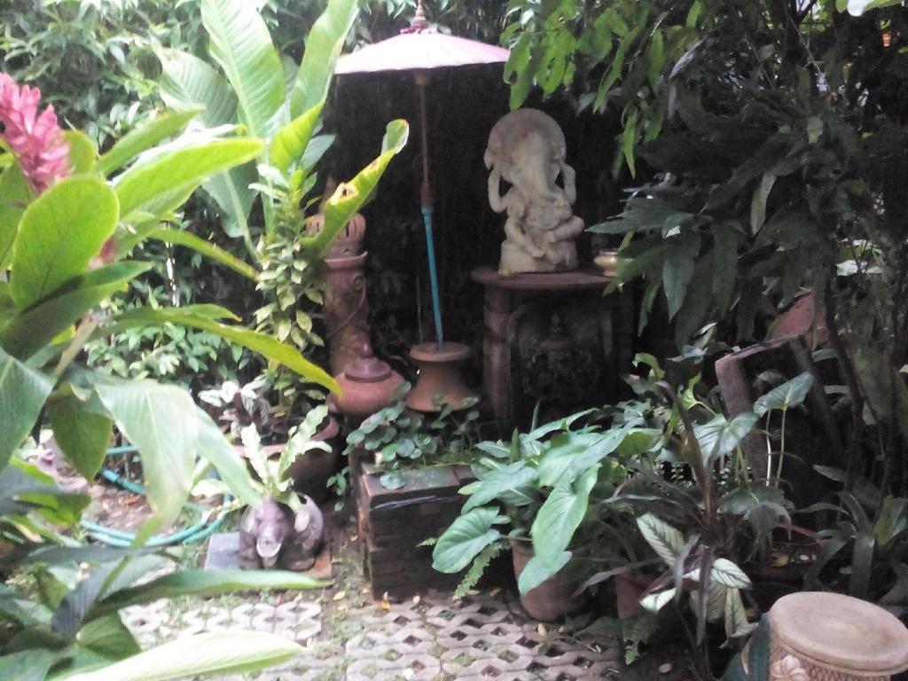 Baan Pim — Photos 2