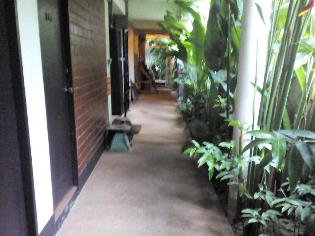 Baan Pim, Chiang Mai